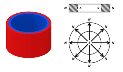 Radial Oriented Ring Magnet Magnets Specifications