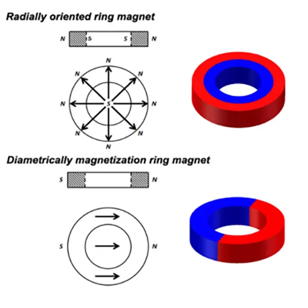 Radially-oriented-ring-magnet-direction