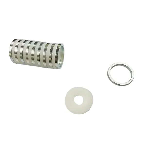 lipstick Ndfeb Ring Magnet 2